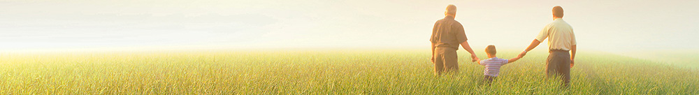 Articles Mississauga ON - Banner